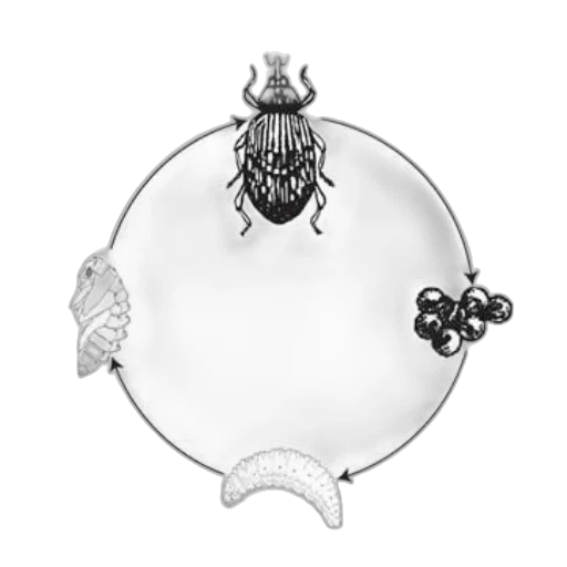crown, jewelry, black, white transparent PNG cut-out
