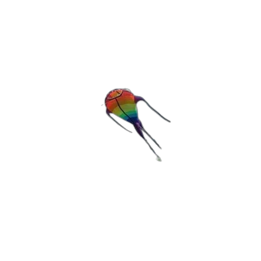 umbrella, flower, hair, weapon transparent PNG cut-out