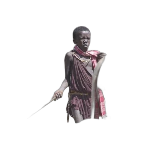 staff, sword, weapon, umbrella transparent PNG cut-out