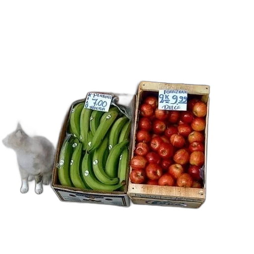 food, animal, photorealistic, 3d render transparent PNG cut-out