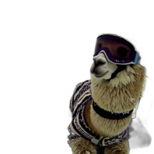 animal, staff, jacket, alpaca-like transparent PNG cut-out