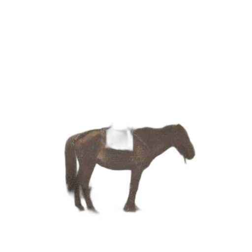 hat, animal, furniture, staff transparent PNG cut-out