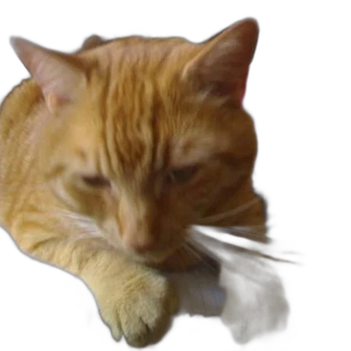 animal, staff, creature, weapon transparent PNG cut-out