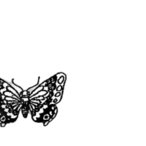 crown, animal, jewelry, creature transparent PNG cut-out