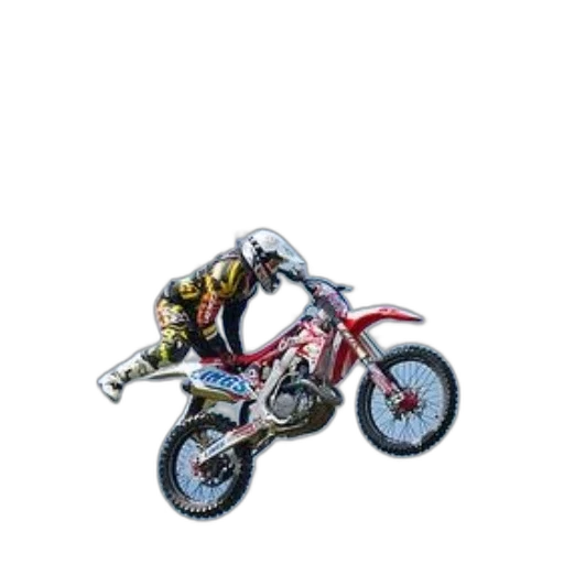 animal, weapon, jewelry, pixel art transparent PNG cut-out