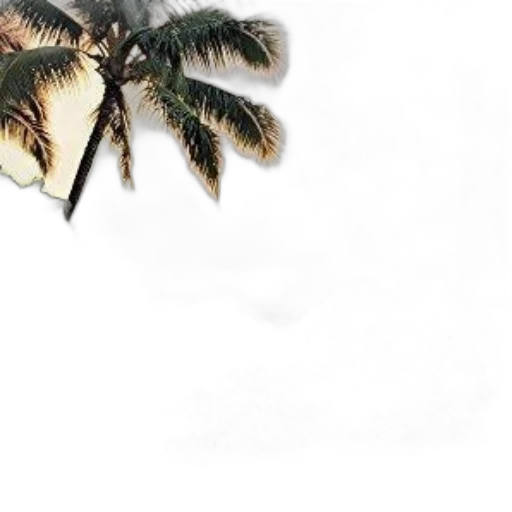 tree, umbrella, hat, hair transparent PNG cut-out