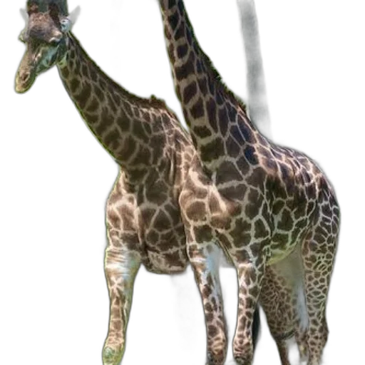 animal, creature, staff, weapon transparent PNG cut-out