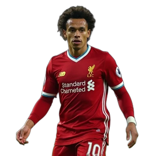 animal, liverpool, defender, brendan transparent PNG cut-out