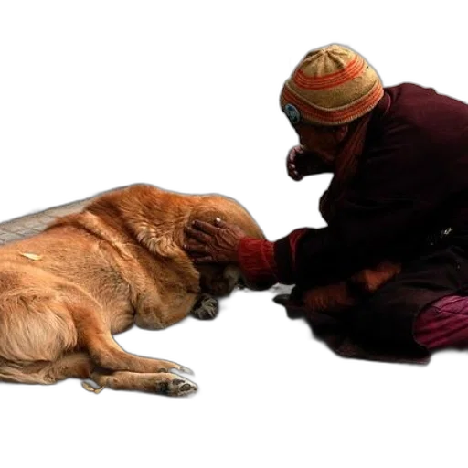 animal, creature, mask, staff transparent PNG cut-out