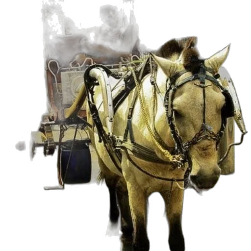 animal, car, staff, weapon transparent PNG cut-out