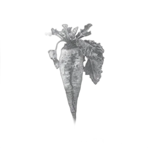 crown, jewelry, food, staff transparent PNG cut-out