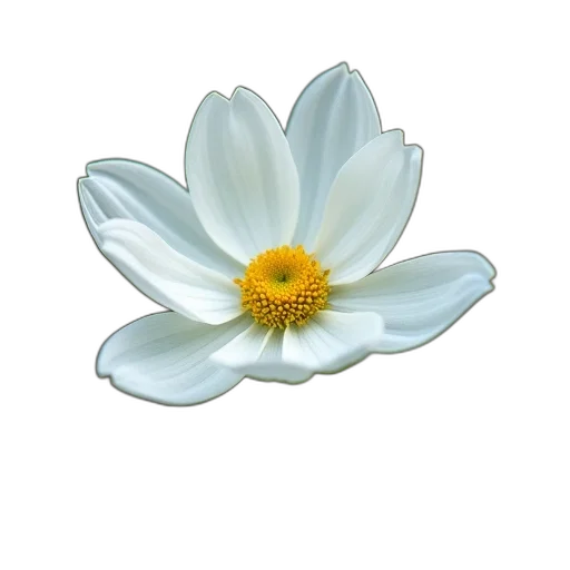 flower, crown, jewelry, staff transparent PNG cut-out