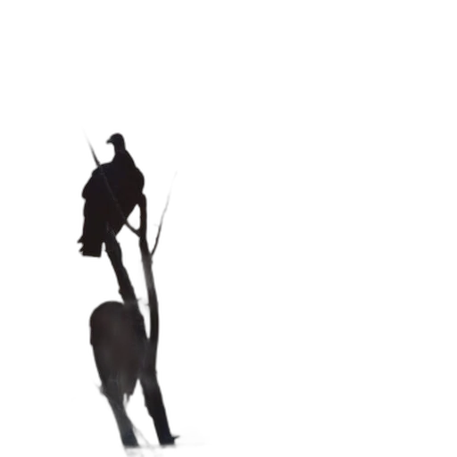 animal, dragon, crown, creature transparent PNG cut-out