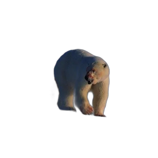 animal, creature, face, staff transparent PNG cut-out
