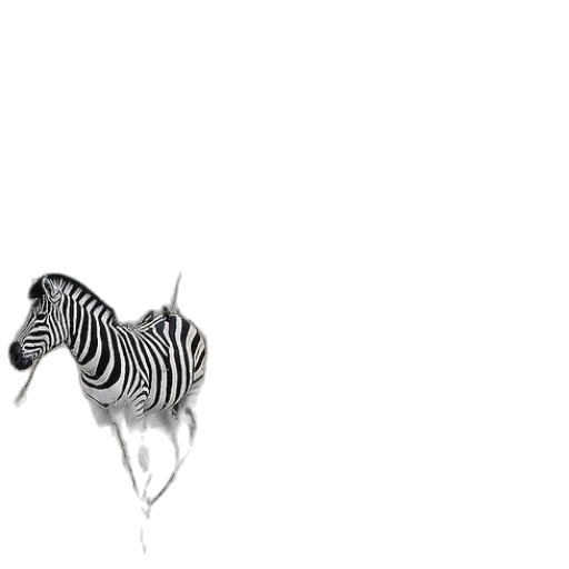 animal, creature, hat, jewelry transparent PNG cut-out