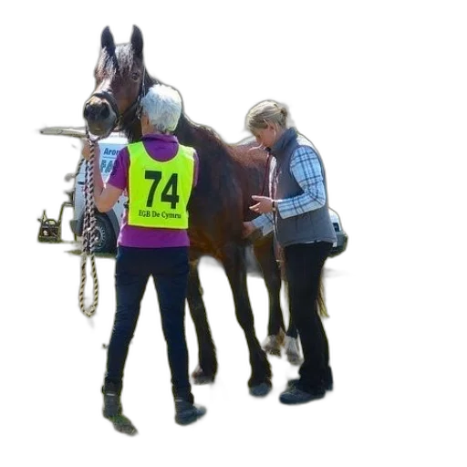 staff, jacket, animal, jewelry transparent PNG cut-out