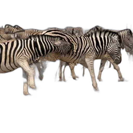 animal, furniture, jewelry, 3d render transparent PNG cut-out