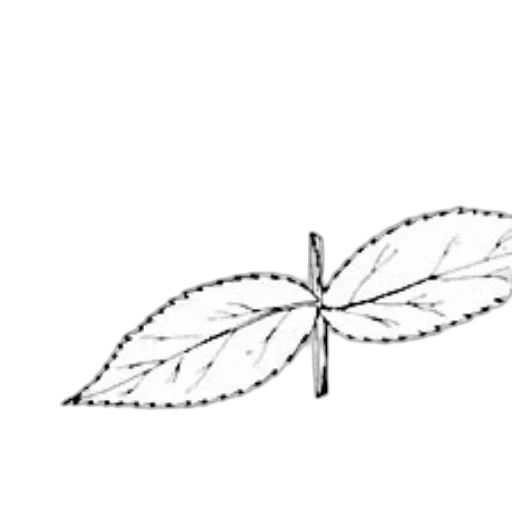 umbrella, crown, flower, jewelry transparent PNG cut-out