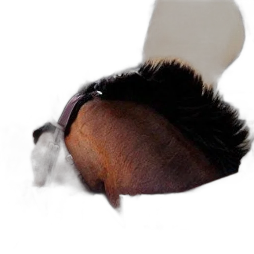 hair, hat, mask, staff transparent PNG cut-out