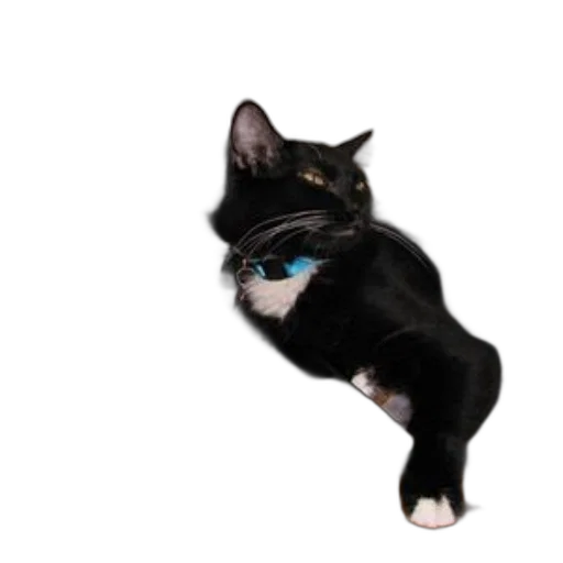 staff, animal, creature, robot transparent PNG cut-out
