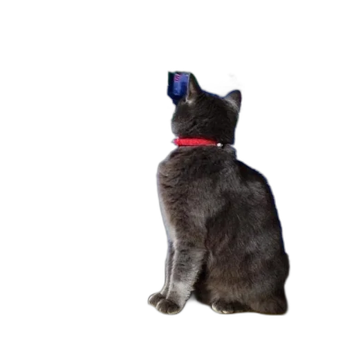 staff, animal, creature, robot transparent PNG cut-out