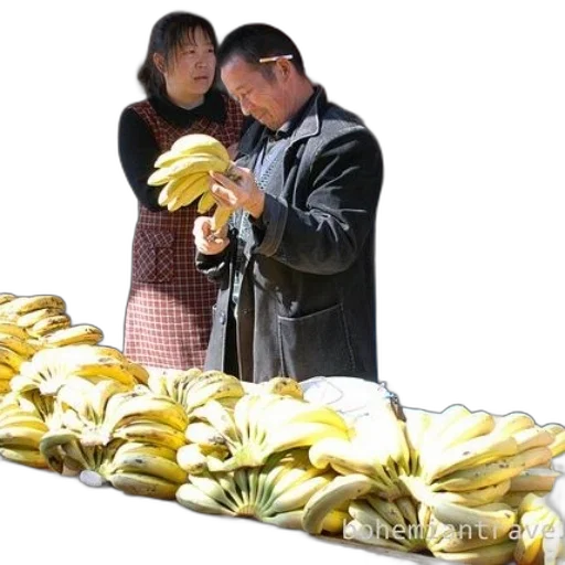 food, weapon, jacket, crown transparent PNG cut-out