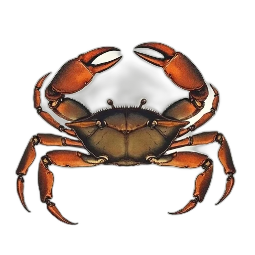 animal, crown, creature, mask transparent PNG cut-out