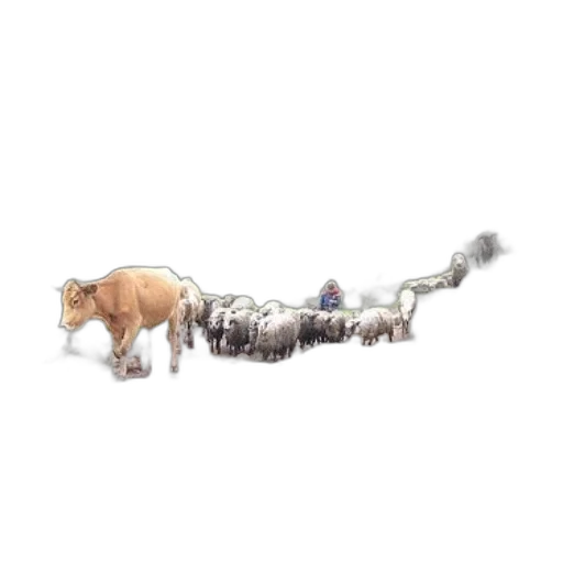 animal, staff, weapon, creature transparent PNG cut-out