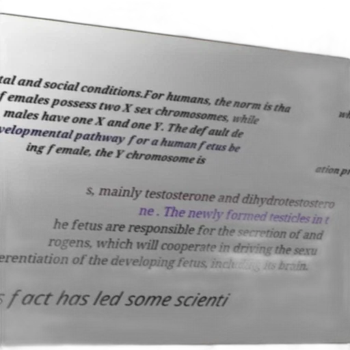 mask, text-based, image, explaining transparent PNG cut-out