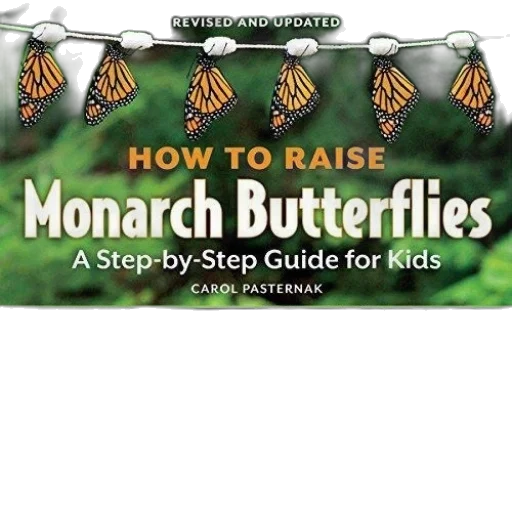 book, cover, titled, how transparent PNG cut-out