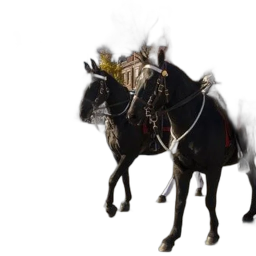 crown, animal, dragon, staff transparent PNG cut-out