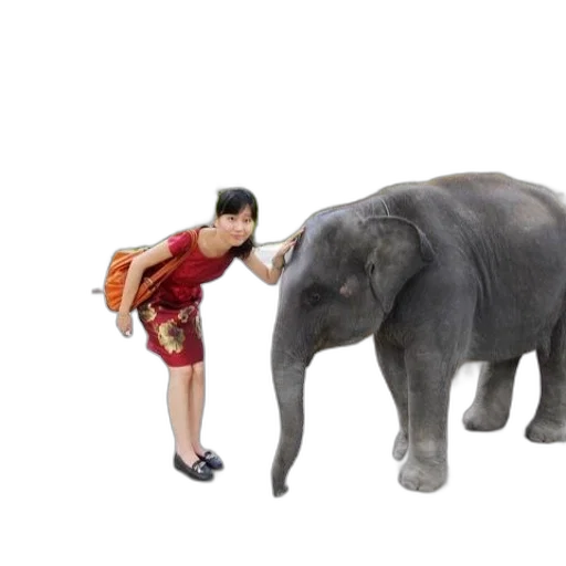 animal, creature, 3d render, concept art transparent PNG cut-out