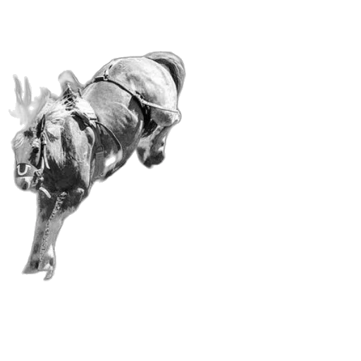 dragon, mask, animal, creature transparent PNG cut-out
