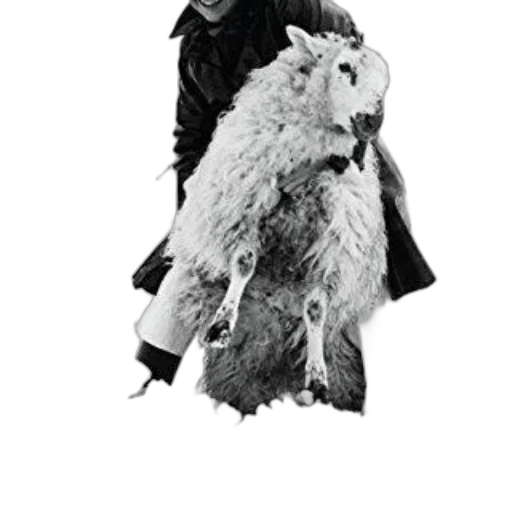 animal, creature, staff, jacket transparent PNG cut-out