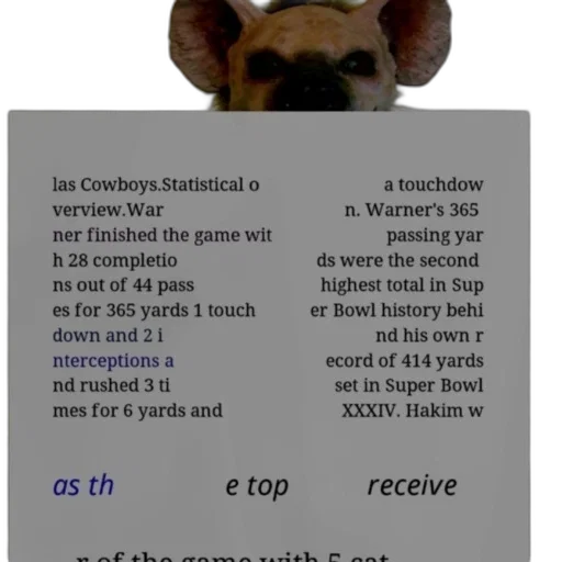 dog, caption, about, dallas transparent PNG cut-out