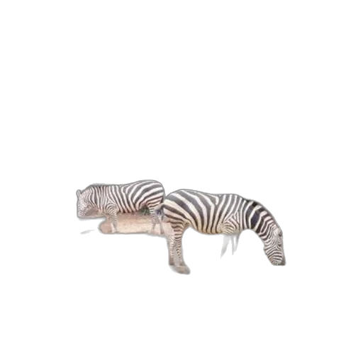 animal, furniture, creature, jewelry transparent PNG cut-out