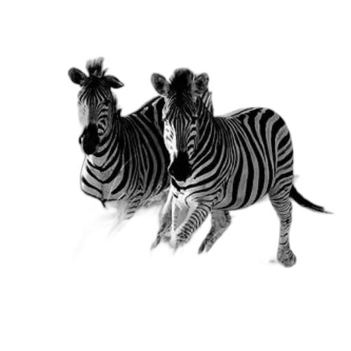 animal, creature, photorealistic, concept art transparent PNG cut-out