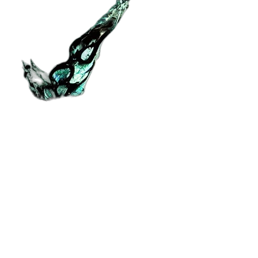 dragon, staff, jewelry, shoes transparent PNG cut-out