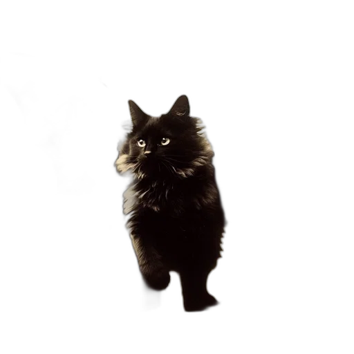 animal, staff, creature, face transparent PNG cut-out