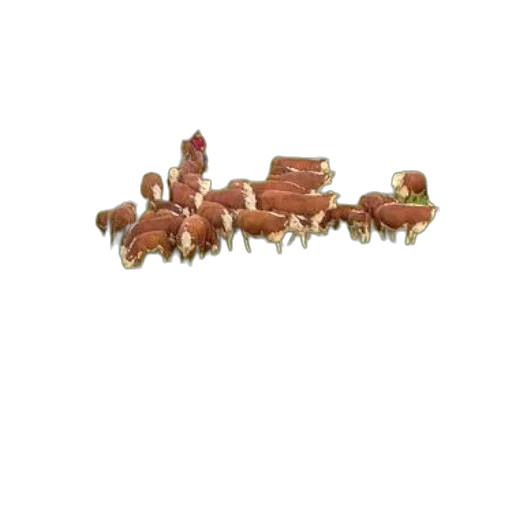furniture, jewelry, food, crown transparent PNG cut-out