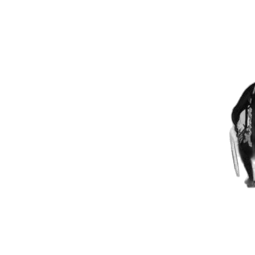 animal, robot, mask, shoes transparent PNG cut-out