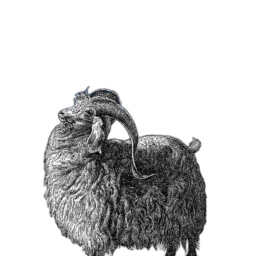 animal, hair, creature, staff transparent PNG cut-out