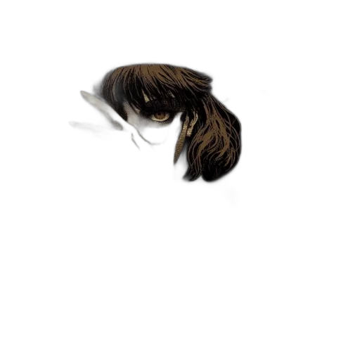 hair, animal, creature, hat transparent PNG cut-out