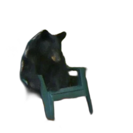 furniture, animal, hat, shoes transparent PNG cut-out