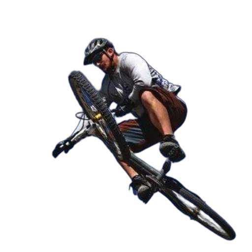 weapon, staff, animal, concept art transparent PNG cut-out