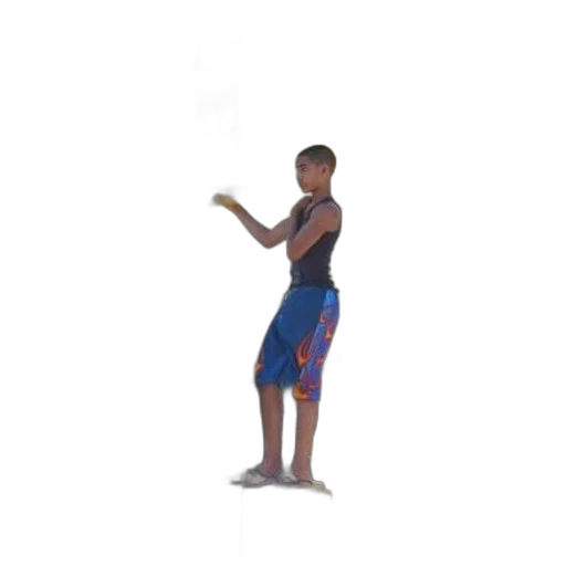 staff, weapon, creature, animal transparent PNG cut-out