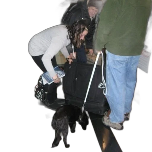 umbrella, staff, animal, jacket transparent PNG cut-out
