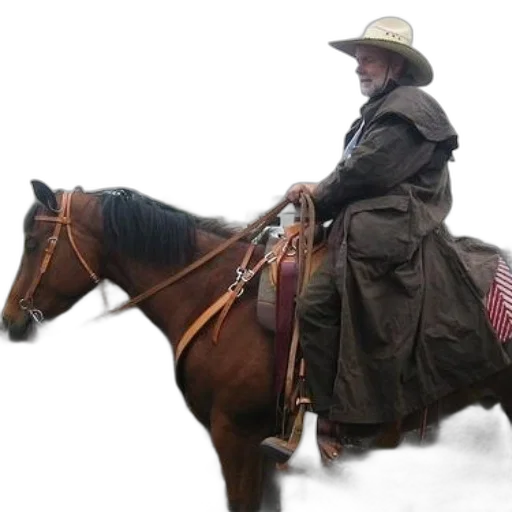 hat, staff, jacket, animal transparent PNG cut-out