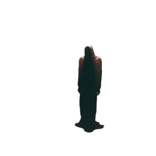dress, staff, weapon, animal transparent PNG cut-out