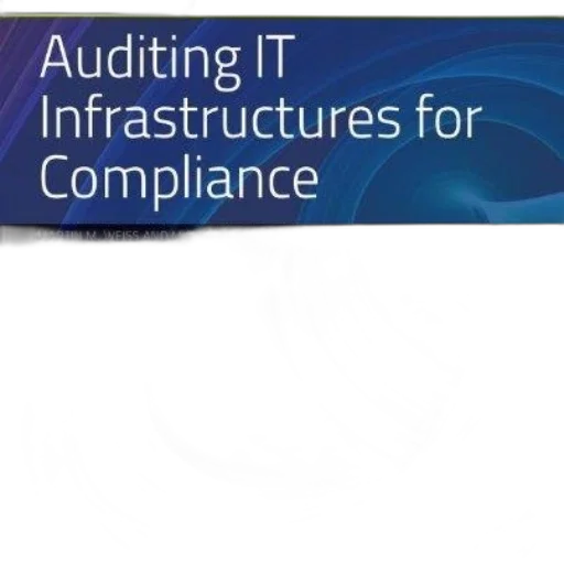 auditing, infrastructures, compliance, martin transparent PNG cut-out